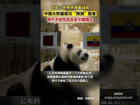 郑钦文对近,期进展感言,失望,米兰体育娱乐官网,米兰体育娱乐App,米兰体育娱乐直播,米兰体育娱乐平台,米兰体育娱乐中心
