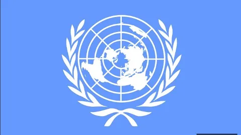 1月29日英甲焦点战米兰体育娱乐平台：埃克塞特城迎战莱顿东方深度解读